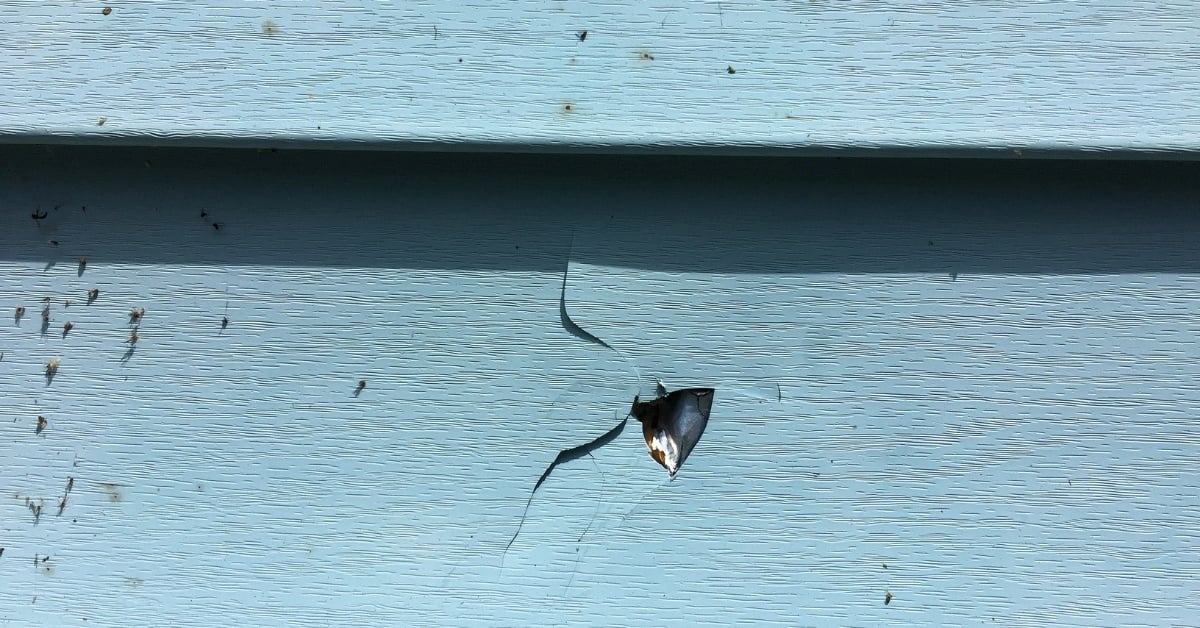 siding_damage